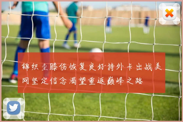 锦织圭膝伤恢复良好持外卡出战美网坚定信念渴望重返巅峰之路