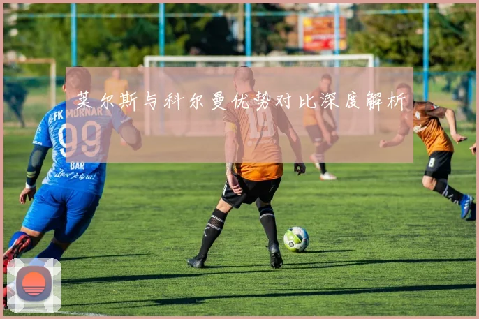 莱尔斯与科尔曼优势对比深度解析