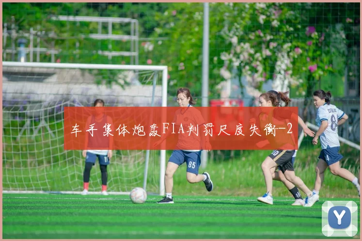 车手集体炮轰FIA判罚尺度失衡