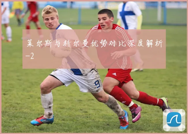 莱尔斯与科尔曼优势对比深度解析