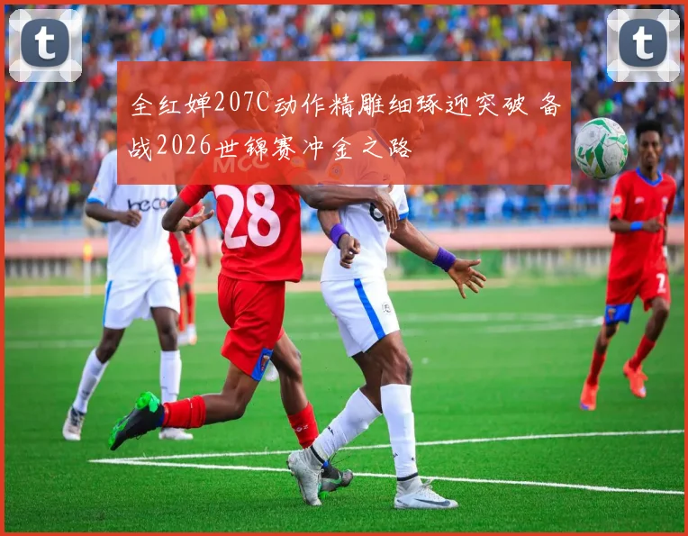 全红婵207C动作精雕细琢迎突破 备战2026世锦赛冲金之路