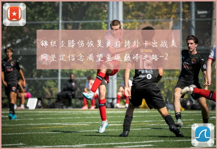 锦织圭膝伤恢复良好持外卡出战美网坚定信念渴望重返巅峰之路